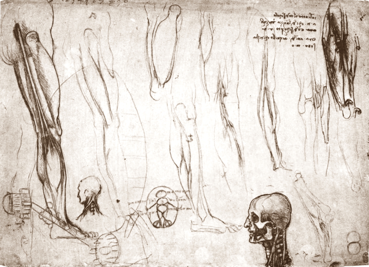 Leonardo+da+Vinci-1452-1519 (758).jpg